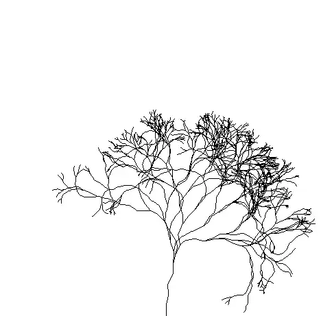Vine
