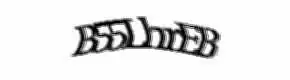 captcha 4
