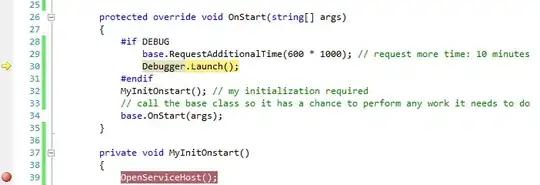 VSDebuggerBreakpoint