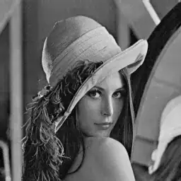 Lenna (.gif)