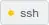 gold ssh