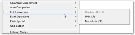 Notepad++