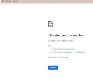 the browser