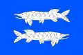 Flag of Čikov
