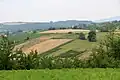 Žabari - panorama