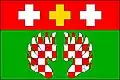 Flag of Žim