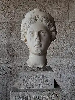 Head of Nemesis