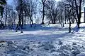 Vyshnivets Park in winter