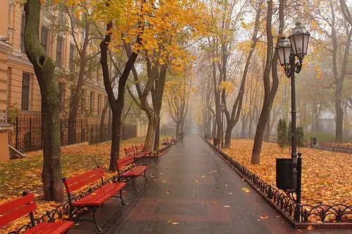 City garden
