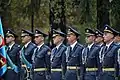 Members of the representative Air Force platoon.
