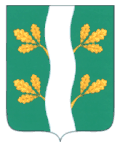 Coat of arms of Mayna