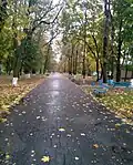 City park