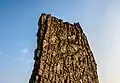 Sail Rock, view from below
