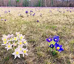 In Buryatia, Russia