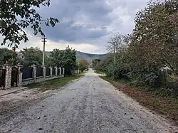 Village street