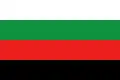 Flag of Selydove
