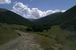 Lusagyugh forest