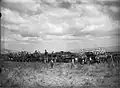 Maoz Haim July 1937 arrival