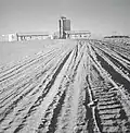 Shoval 1946