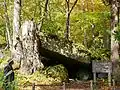 Rock cave at Oirase River