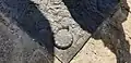Mary Anning Rocks campaign logo