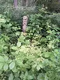 Carved markers populate Old Wood
