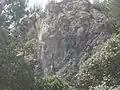 Bainam Forest