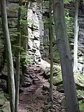 Sandstone Rocks