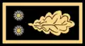 Intendenteburua / Superintendente