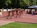 100 m hurdles, heat 1