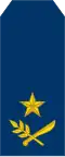 Brigade General