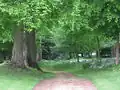 Park