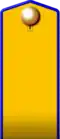 Uhlan shoulder straps (1872), 4th Kharkov Uhlan Regiment