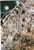 1956 La Femme upholstery fabric, close-up view. Lower, darker portion shows damage from age and the elements.