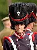 Bearskin