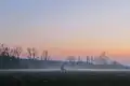 The Drongengoedbos&nbsp;[nl] at dawn