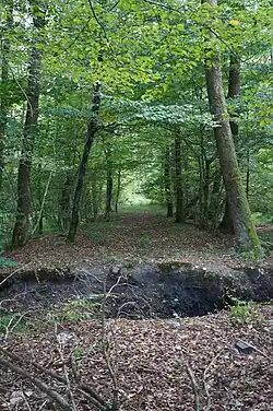 Old railroad