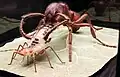 Myrmica rubra with Aphid, 1944, 100:1 scale, 1947 reconstruction of a model destroyed in World War II