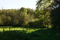 Site of an old well.