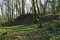 The spoil heap.