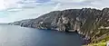 Slieve League Arctic-alpine plants