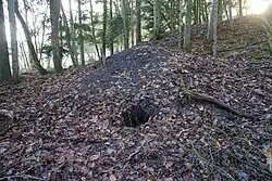 The slag heap of the Saint-Barbe adit.