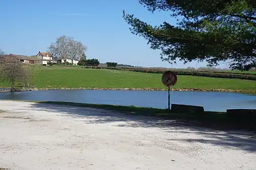 The lake.