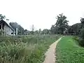 Path along the Regge
