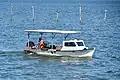 Chesapeake Bay deadrise workboat being used to catch blue crabs