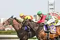 Justin Milano wins the Satsuki Sho with Cosmo Kuranda finishing second.