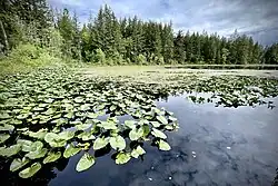 View of a lake