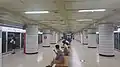 Line 5 Platform