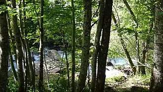 A stream