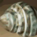Vectorization to 48 colors (Inkscape)